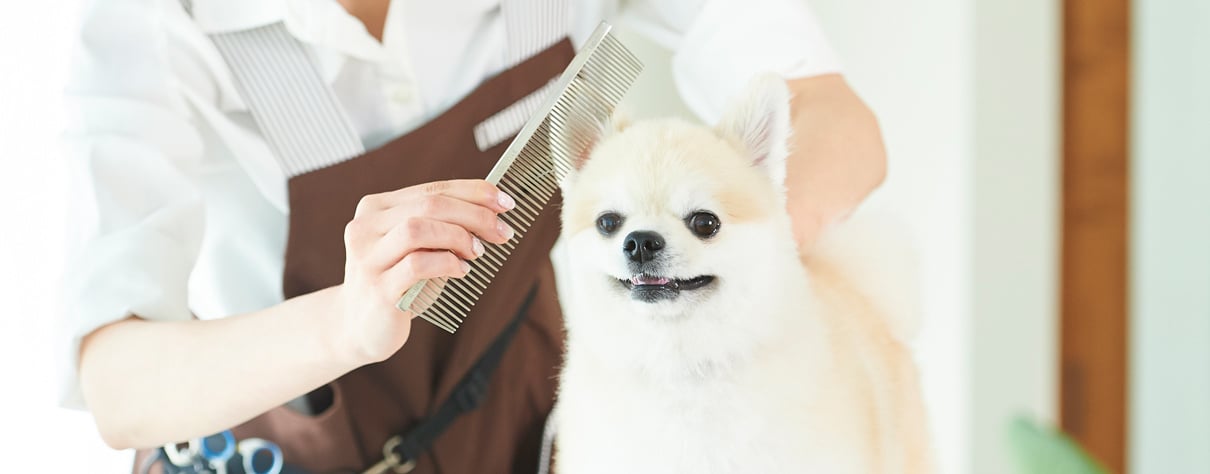 ドッグハウスビット ドッグハウスビット